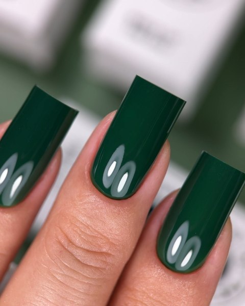 NAILSOFTHEDAY Color of the Month September 2025 Everroot - zielony lakier hybrydowy , 10 ml