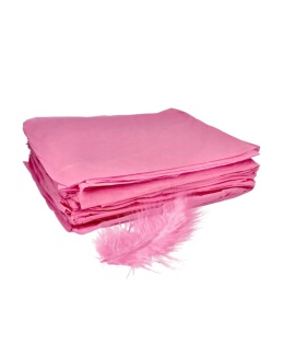Jednorazowe prześcieradło kosmetyczne ECONOMIC z włókniny, różowe 215x100 cm – 10 szt.