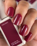 NAILSOFTHEDAY Color of the Month October 2025 Toscano - burgundowy lakier hybrydowy, 10 ml