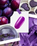 NAILSOFTHEDAY Plum Gel Polish - nasycony fioletowy lakier hybrydowy, 10 ml
