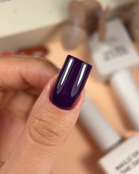 NAILSOFTHEDAY Amethyst Gel Polish - głęboki śliwkowy lakier hybrydowy o chłodnym odcieniu, 10 ml