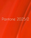 NAILSOFTHEDAY Pantone 2025/2 Gel Polish - neonowy pomarańczowy lakier hybrydowy, 10 ml