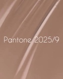 NAILSOFTHEDAY Pantone 2025/9 Gel Polish - kawowo-beżowy lakier hybrydowy, 10 ml