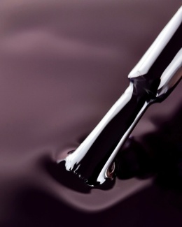 BIBLIOTEKA Gel Polish 21 Plum, 10 ml