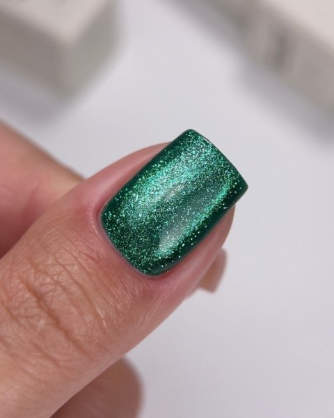 NAILSOFTHEDAY Cat Eye Gel Polish 07 - zielony lakier hybrydowy z efektem "kocie oko", 6 ml