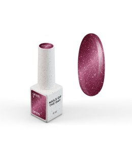 NAILSOFTHEDAY Cat Eye Gel Polish 11 - wiśniowy lakier hybrydowy z efektem 