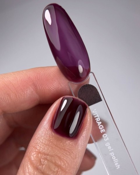 NAILSOFTHEDAY Vitrage Gel Polish 03 - witrażowy śliwkowy lakier hybrydowy, 10 ml