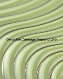 NAILSOFTHEDAY Cabbage 240 Gel Polish - stonowany, pastelowy oliwkowo-pistacjowy lakier hybrydowy, 10 ml