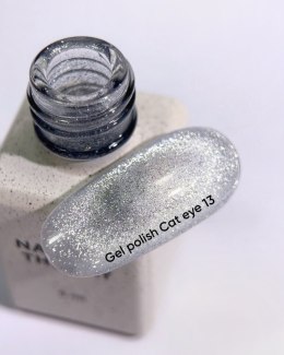 NAILSOFTHEDAY Cat Eye Gel polish 13 - srebrny lakier hybrydowy z intensywnym efektem 