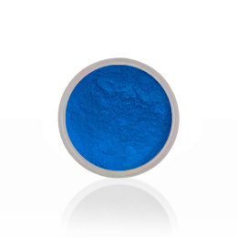 Pigment do zdobień - 02 NEON BLUE