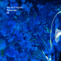 NAILSOFTHEDAY Flower gel 03 - niebieski żel budujący z kwiatami, 15 ml